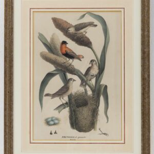 vogelprent