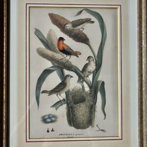 vogelprent