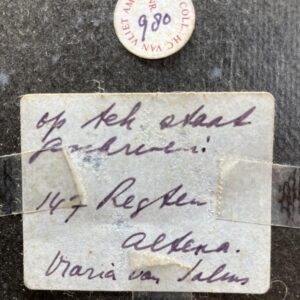 Maria van Solms