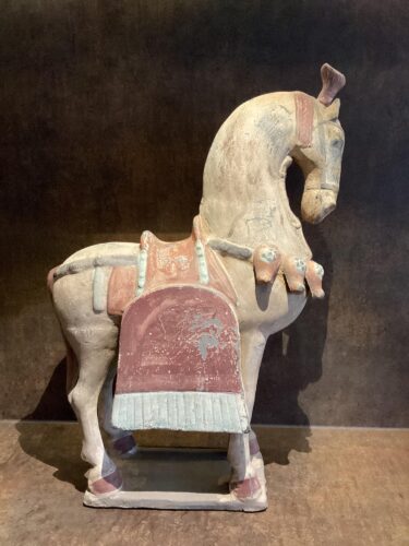 Tang paard