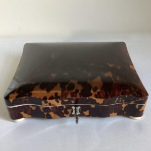 Grote schildpaddoos nr. 2