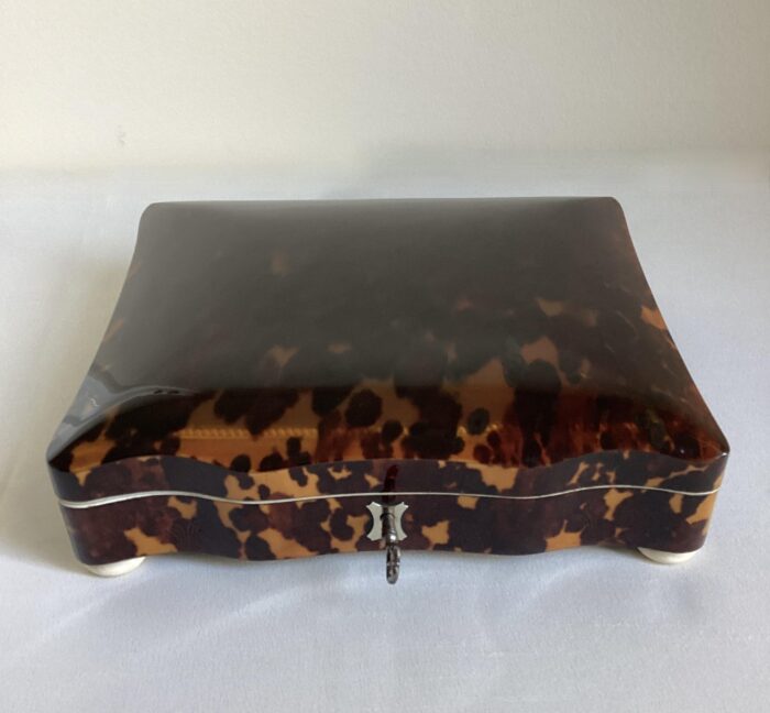 Grote schildpaddoos nr. 2