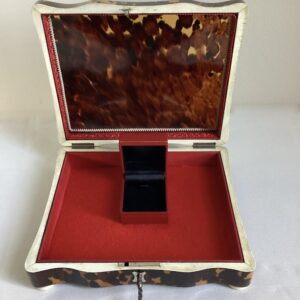 Grote schildpaddoos nr. 2