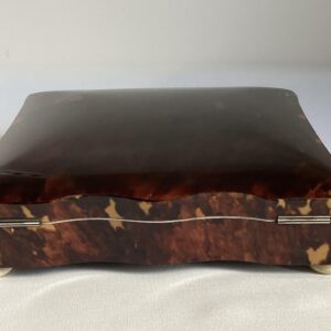 Grote schildpaddoos nr. 2