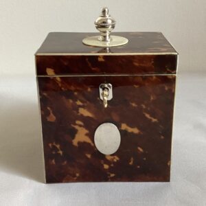 vierkante schildpaddoos nr. 3