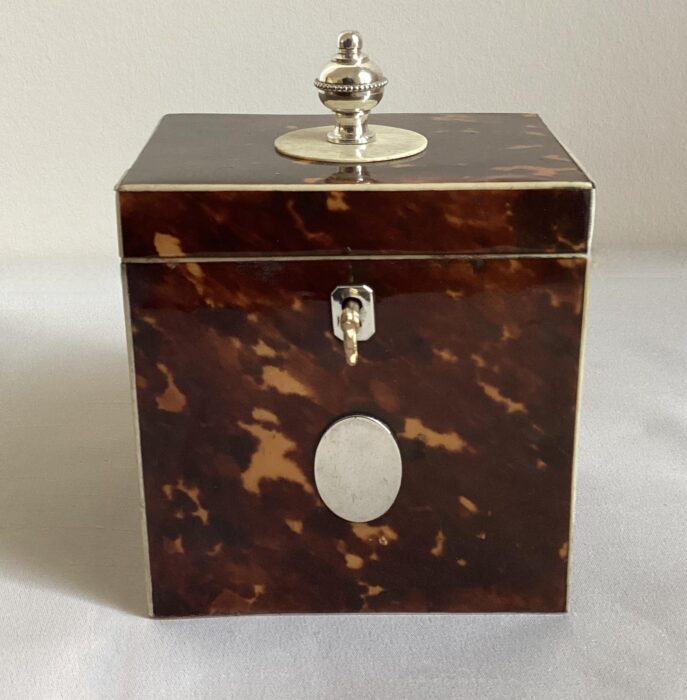 vierkante schildpaddoos nr. 3