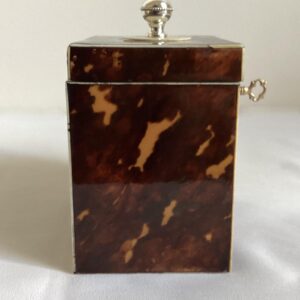 vierkante schildpaddoos nr. 3