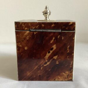 vierkante schildpaddoos nr. 3