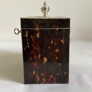 vierkante schildpaddoos nr. 3