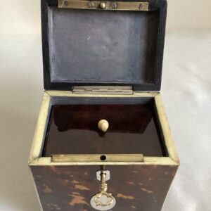 vierkante schildpaddoos nr. 3